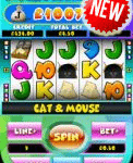 Play Cat and Mouse slot game.