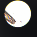 100X Ra Slot,