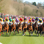 Cheltenham gold cup 2023 runners